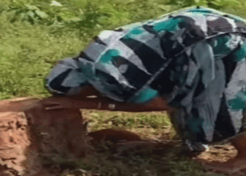 ‘সন্তান সমতুল্য’ গাছ কাটায় কান্নায় ভেঙে পড়লেন বৃদ্ধা, ভিডিও শেয়ার মন্ত্রীর