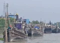 শনিবার মধ্যরাতে শেষ হচ্ছে ইলিশ শিকারে নিষেধাজ্ঞা, সাগরে নামতে প্রস্তুত উপকূলের জেলেরা