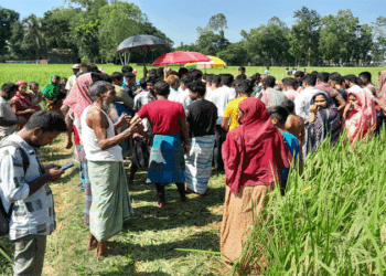 বকশীগঞ্জে নিখোঁজের পরদিন ধান ক্ষেত থেকে শিশুর মরদেহ উদ্ধার 