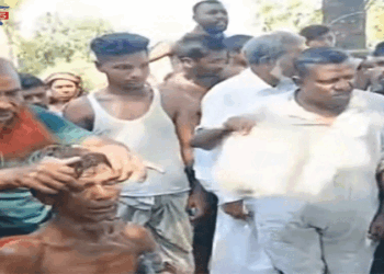 বকশীগঞ্জে বিষাক্ত সাপের ছোবলে একজনের মৃত্যু!