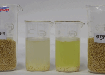 বিএফএসএর সতর্কবার্তা: মুগ ডালে অননুমোদিত রঙ ব্যবহার, গ্রহণে বাড়ছে স্বাস্থ্যঝুঁকি