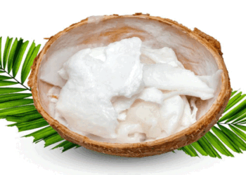 খালি পেটে ডাবের শাঁস খাচ্ছেন, কী হবে জানেন?