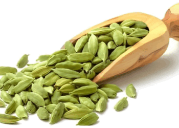 ব্লাড প্রেসার নিয়ন্ত্রণে রাখবে এলাচ