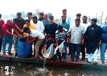 আদমদীঘিতে যুবদলের প্রতিষ্ঠাবার্ষিকী উপলক্ষে পোনামাছ অবমুক্ত ও বৃক্ষরোপন
