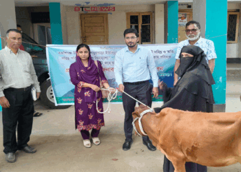 বকশীগঞ্জে হতদরিদ্র পরিবারের মাঝে বিনামূল্যে বকনা গাভী বিতরণ