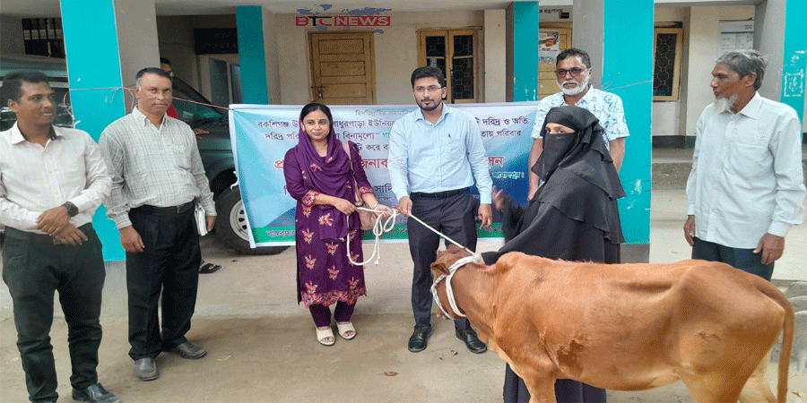 বকশীগঞ্জে হতদরিদ্র পরিবারের মাঝে বিনামূল্যে বকনা গাভী বিতরণ