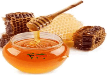 গরমে মধু খাওয়া কী ক্ষতিকর?