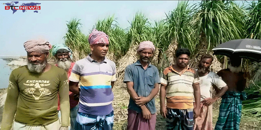ইসলামপুরে অসময়ে যমুনা নদীর তীব্র ভাঙনে দিশেহারা আখচাষীরা