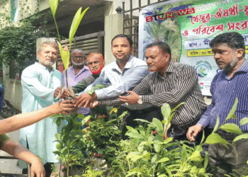 গ্রীন চট্টগ্রাম এ্যালায়েন্সের আয়োজনে মীরসরাই পৌরসভায় বৃক্ষ রোপণ ও চারা বিতরণ