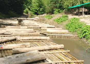 খাগড়াছড়িতে তেলেগু সিনেমা পুষ্পার স্টাইলে কাঠ পাচারের চেষ্টা, জব্দ করলো সেনাবাহিনী