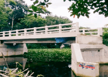 আগৈলঝাড়ায় কোটি টাকার ব্রিজ আছে, নেই সংযোগ সড়ক