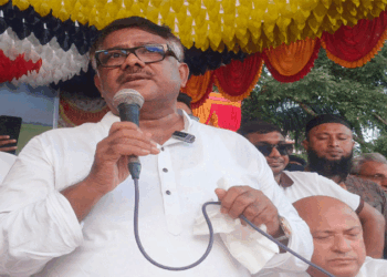 দেশের গণতন্ত্রকে সমুন্নত রাখতে ধানের শীষের বিকল্প নেই – দুলু