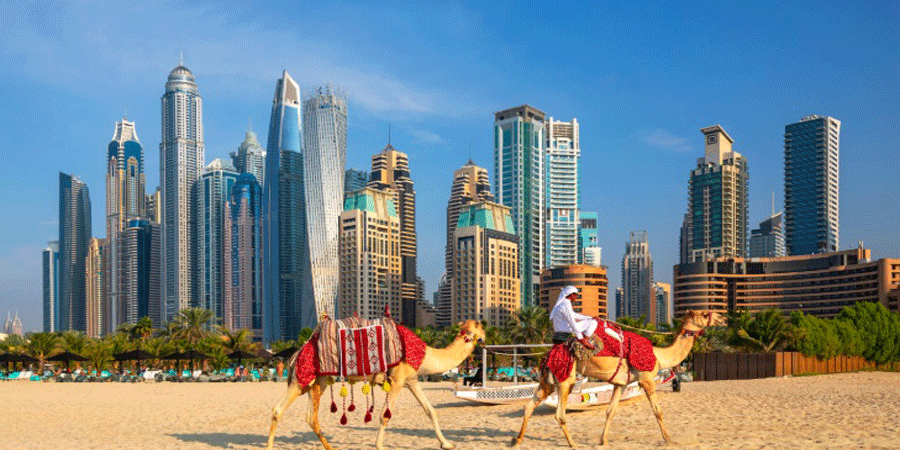 পাকিস্তানিদের ভিসা দিচ্ছে না আরব আমিরাত, কারণ কী?