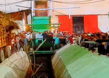 ঋণের বোঝা মাথায় নিয়ে জিল বাংলা চিনিকলে আখ মাড়াই শুরু