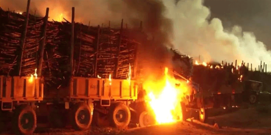 চাষীদের বিক্ষোভে উত্তপ্ত কর্ণাটক, শতাধিক ট্রাকে আগুন, জারি ১৪৪ ধারা