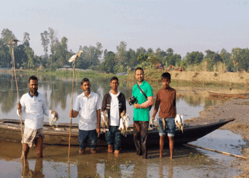 চলনবিলে বক দিয়ে বক শিকার! : দুই শিকারির দুই মাস করে কারাদন্ড, শতাধিক পাখি অবমুক্ত কিল্লা ঘর ও কারেন্ট জাল জব্দ