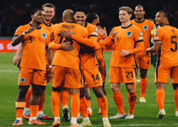 অপরাজিত থেকেই বিশ্বকাপে নেদারল্যান্ডস