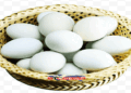 হার্টের রোগীদের জন্য হাঁসের ডিম খাওয়া নিরাপদ কি না?