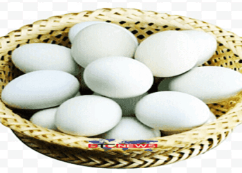 হার্টের রোগীদের জন্য হাঁসের ডিম খাওয়া নিরাপদ কি না?