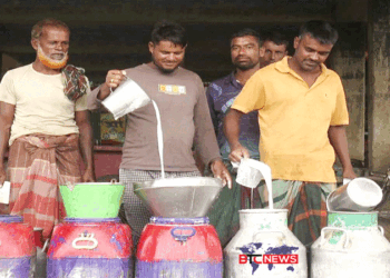 শাহজাদপুরে দাম বৃদ্ধিসহ ৬ দফা দাবিতে দুধ সরবরাহ বন্ধ রেখেছে সমবায় খামারিরা