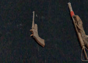 রাজশাহীর বাঘায় চরাঞ্চলে বিদেশি পিস্তল, পাইপগান ও দেশীয় অস্ত্র উদ্ধার