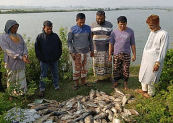 বাগমারায় বিএনপি নেতার ৩টি পুকুরে বিষ প্রয়োগে দেড় কোটি টাকার ক্ষতি