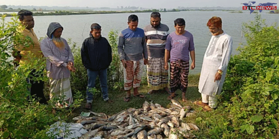 বাগমারায় বিএনপি নেতার ৩টি পুকুরে বিষ প্রয়োগে দেড় কোটি টাকার ক্ষতি