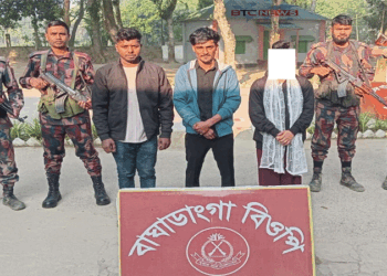 মহেশপুর সীমান্ত থেকে নারীসহ ৪ বাংলাদেশি আটক