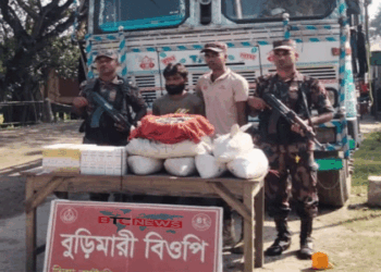 বুড়িমারী স্থলবন্দরে সীসা ও ওষুধসহ ভারতীয় ট্রাকচালক আটক