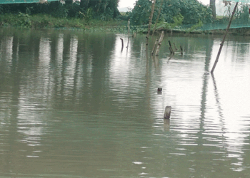আদালতের রায় উপেক্ষিত: আদমদীঘিতে শশ্মানে ব্যবহৃত জলাশয় জবর দখলের অভিযোগ