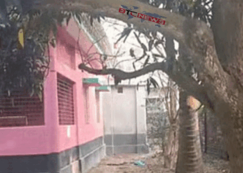 বাগমারায় বিএনপির মনোনয়নবঞ্চিত প্রার্থীর বাড়িতে ককটেল, শ্বশুর বাড়িতে বিষ্ফোরণ