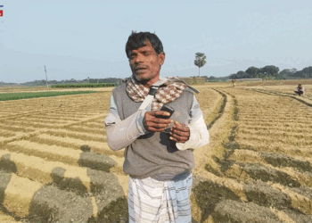 মোহনপুরে আদালতের ডিক্রি অমান্য: গমক্ষেত পুড়িয়ে আলু চাষে প্রতিপক্ষের দৌরাত্ম্য