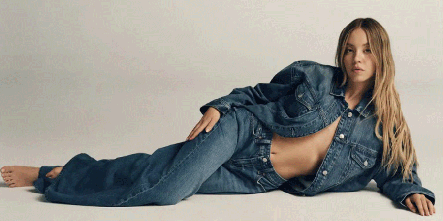 গৃহকর্মী হয়ে স্বস্তি পান মার্কিন অভিনেত্রী সিডনি সুইনি