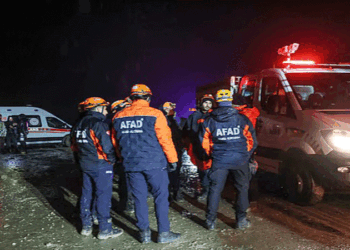 লিবিয়ার সেনাপ্রধান তুরস্কের রাজধানীর কাছে বিমান দুর্ঘটনায় নিহত