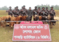 খাগড়াছড়িতে ১১টি ভারতীয় গরুসহ চোরাকারবারি আটক