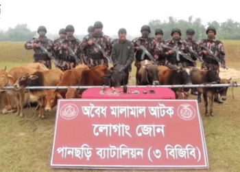 খাগড়াছড়িতে ১১টি ভারতীয় গরুসহ চোরাকারবারি আটক