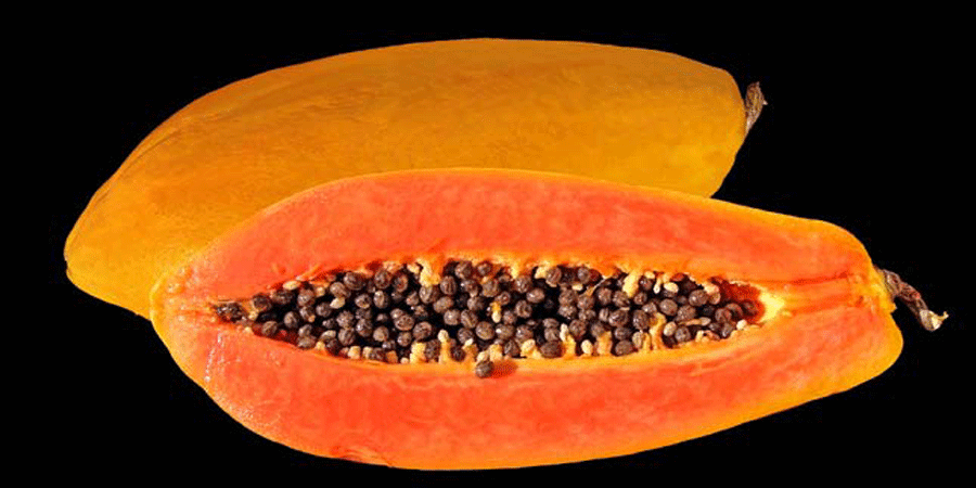 শীতকালে পাকা পেঁপে খাওয়ার উপকারিতা-সতর্কতা