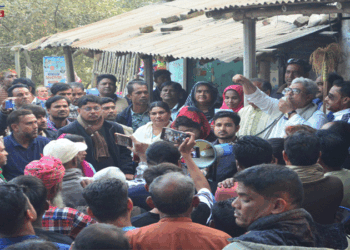 ধানের শীষ হচ্ছে সবার নির্ভরযোগ্য প্রতিক : মিলন