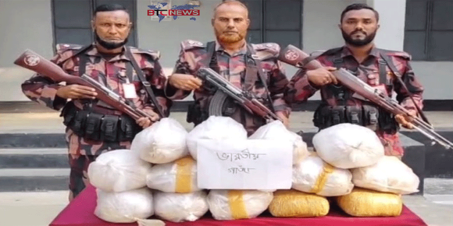 বেনাপোলে বিজিবি’র অভিযানে ৪১ কেজি গাঁজা উদ্ধার