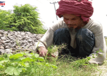 সান্তাহারে এক অজ্ঞাত ব্যক্তির আলোকিত কর্ম, পাথর ঠেলেই জীবন পার
