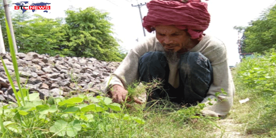 সান্তাহারে এক অজ্ঞাত ব্যক্তির আলোকিত কর্ম, পাথর ঠেলেই জীবন পার