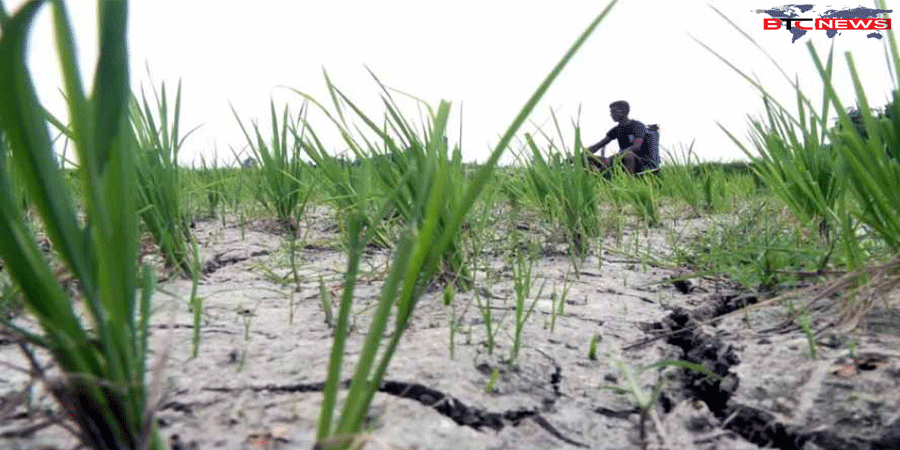 বরেন্দ্র অঞ্চলে ৩৫০ ফুটেও মিলছে না পানি