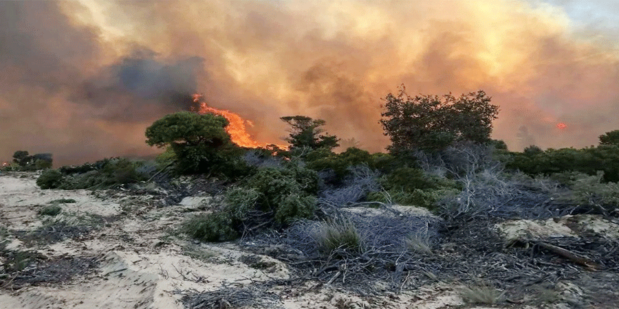 অস্ট্রেলিয়ার পূর্বাঞ্চলে বাতাসে ছড়িয়ে পড়ছে ভয়াবহ দাবানল