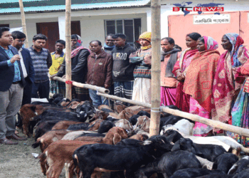 সিংড়ায় ১০০ জন ক্ষুদ্র নৃ-গোষ্ঠির মাঝে ছাগল বিতরণ