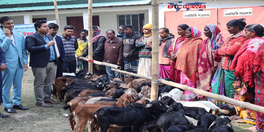 সিংড়ায় ১০০ জন ক্ষুদ্র নৃ-গোষ্ঠির মাঝে ছাগল বিতরণ