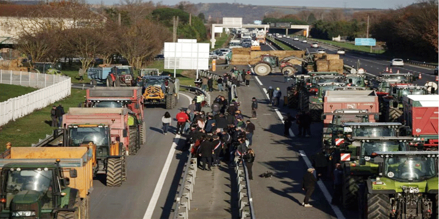 ফ্রান্সে গরু নিধনের প্রতিবাদে কৃষকদের সড়ক অবরোধ