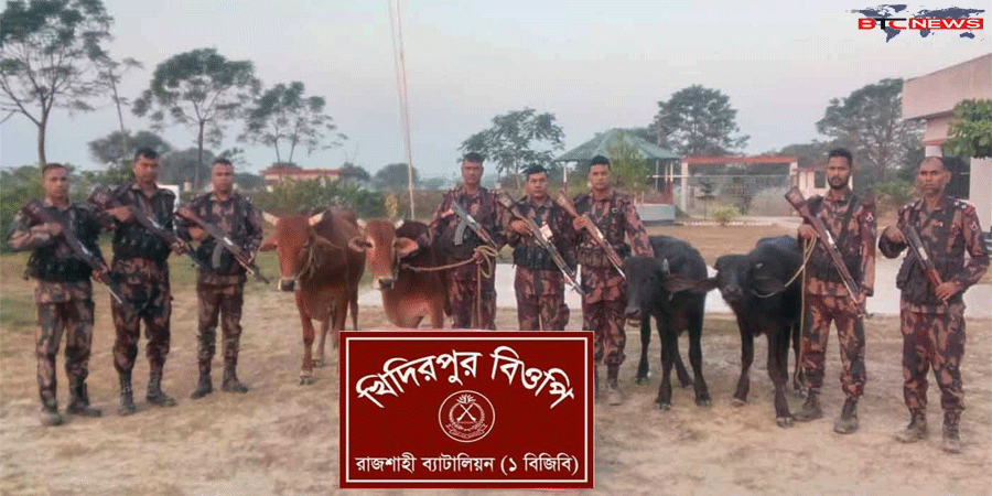 রাজশাহীর নগরীতে চারটি ভারতীয় গবাদিপশু জব্দ