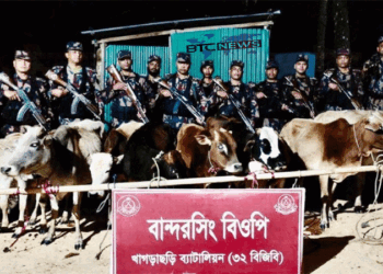 খাগড়াছড়িতে ১২টি ভারতীয় গরু জব্দ