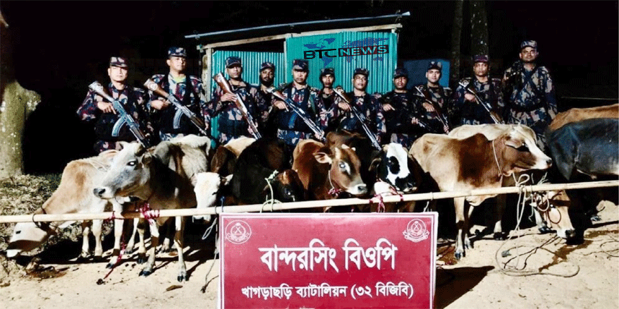 খাগড়াছড়িতে ১২টি ভারতীয় গরু জব্দ