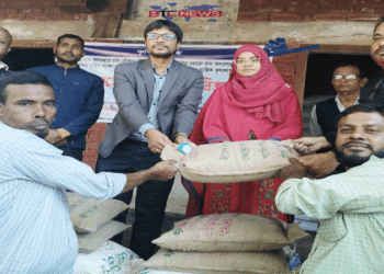 বকশীগঞ্জে বিনামূল্যে বোরো ধান বীজ ও সার বিতরণ